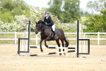 SBM_008003