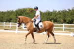 SBM_004896