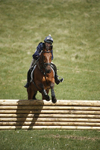 BVHT 140517  IXC -508