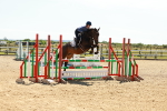 SBM_006785