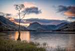 Lone Tree at Buttermere copy