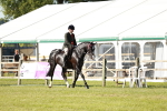 SBM_19339