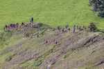 Ilam-20