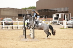SBM_008286