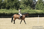 _PJP5963