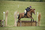 BVHT 140517  NXC -80