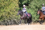 WJ6_7922