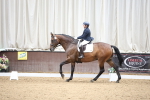 SBM_003409