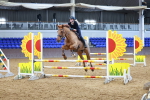 SBM_001515