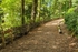 Elleray Wood Wildlife Sculpture Trail