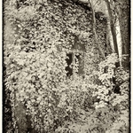 20 12-7040159-2