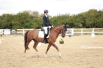 SBM_010109