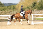 SBM_018325