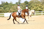 SBM_009171