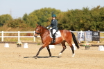 SBM_016689