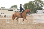 SBM_06316
