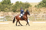 SBM_003004