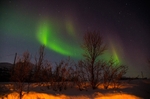 Northern Lights ~ Tromso 5
