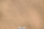 260730-153443-02290