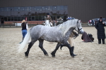 SBM_006405