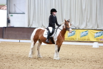 SBM_005915