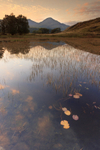 Kelly Hall Tarn at Sunset