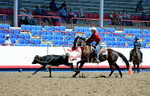 3HRodeo8-11-25_PRCASteer_01042_