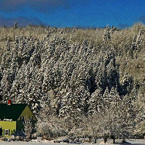 A winter scene in rural Kings County, New Brunswick Canada