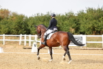 SBM_007448