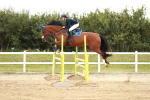 SBM_005952