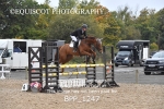 BPP_1247