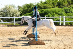 SBM_006770