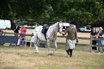 WJ6_3844