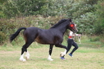 3E7A4279