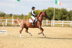 SBM_007905