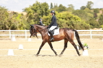 SBM_018185