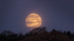 Super Moon