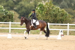 SBM_01697