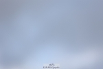 241201X-135516-01567