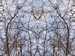 30th January Mirrored