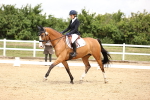 SBM_002966