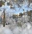 Fire in Winter