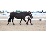 SBM_04996