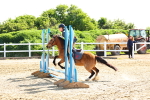 SBM_006652
