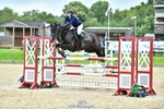Cls 91 Foxhunter & 1.20m Open portfolio