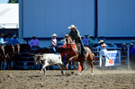 3HRodeo8-11-25_PRCASteer_00379_