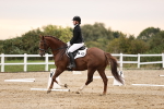 SBM_000551