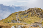 TWA  Newlands-991
