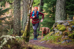Glentress-2401