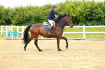 SBM_000452